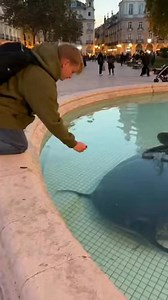 310K views · 2.7K reactions | Imagine walking through a historic city...