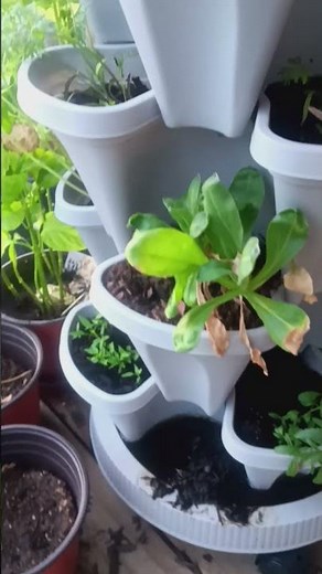 Stacking Garden Planter Tower #arkansasgardening