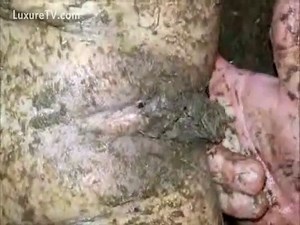 Hot brunette girl gets covered in scat as she plays with horse manure