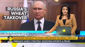 26K views · 792 reactions | Russia's position as the top exporter has been bolstered by the country's second-straight record wheat crop, and it has also helped relieve pricing pressures caused by Moscow's invasion of Ukraine. Rahesha Sehgal tells you more Watch more: wionews.com/videos | WION | Facebook