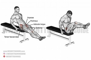 Seated leg raise exercise instructions and video | Weight Training Guide