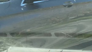 Deidre Hall on Reels