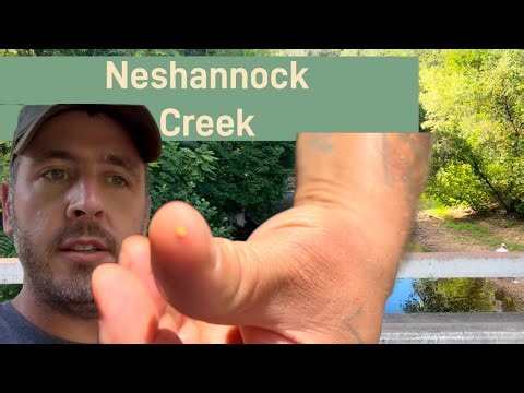 Finding good gold in Neshannock Creek
