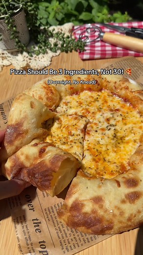 Overnight No-Knead Margherita Pizza Recipe