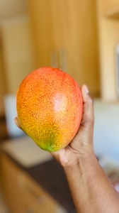 41 reactions · 4 comments | A quick haul #fyp #trendingreels #fy #trending | Sande Nodali | Facebook