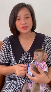 Puka Were confiscated by ENV to return to the wild with Kaka and Mit #Kaka | Kaka Page