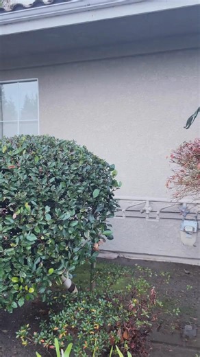 Beautologie Fresno offers award-winning plastic surgery and medical aesthetics with the latest procedures and advanced technology. From breast implants to Botox, we deliver exceptional results in a luxurious, safe environment. Conveniently located next to our state-of-the-art surgery center. ✨ #BeautologieFresno #PlasticSurgery #CosmeticSurgery #Fresno #BreastImplants #TummyTuck #Liposuction #Botox #LaserHairRemoval #AestheticCare | Beautologie Medical Group, Inc.