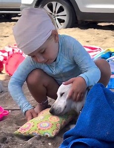 Cette petite fille prend soin de son petit chien ❤️ | RegardeCetteVideo