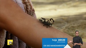 26K views · 292 reactions | Moisés percebe um escorpião subindo pelas...