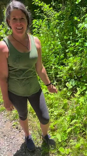 5K views · 234 reactions | A native southern hypericum may be just as valuable as hypericum perforatum! | Walden FARMacy | Facebook