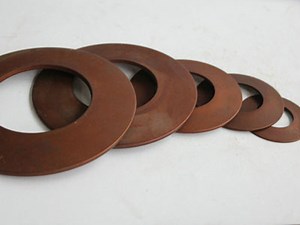 [Hot Item] Customized Inconel Alloy Washer Disc Springs