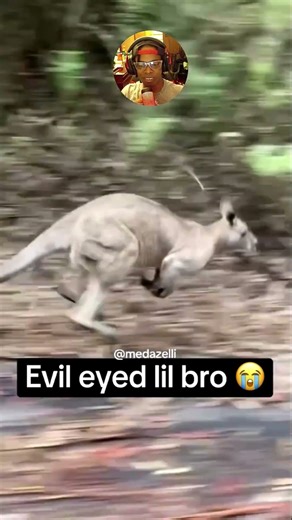 Fastest Kangaroo Ever Caught on Camera!