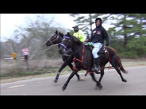 Down South Standardbred Horse Racing Under Saddle