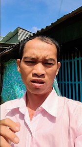 Looking for the kitten