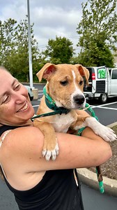 8.4K views · 19 reactions | Transport plays a vital role in the...