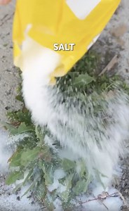 281K views · 527 reactions | Unique salt hacks you can try! | 5-Minute Crafts Teens | Facebook