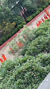 2.4K views · 181 reactions | Novice monk getting ready For Evening Puja #GautamaBuddha | GAUTAMA BUDDHA | Facebook
