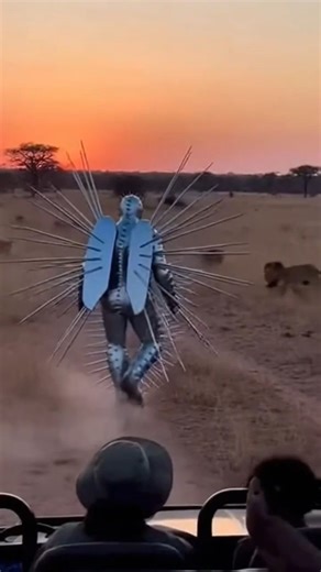 What happens when lions attack a man covered in razor-sharp metal spikes? part 2 is out 🦁🌵 Filmed from the perspective of a safari vehicle, this AI-generated scene shows a spiked “Cactus Man” calmly walking through the savanna while lions swarm, leap, and attack from all sides. Dust fills the air, passengers react in shock, and the chaos escalates—right up to an unexpected karate kick. This is a fictional, AI-generated video created for entertainment purposes only. No animals or people were ha