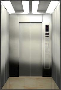 [Hot Item] 2020 Hot Sale Stainless Steel Gearless Home Lift Passenger Elevator Without Machine Room