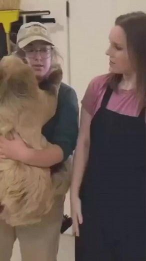 Chewy the cutest Sloth ever giving hug for fun❤️😍 . . . . . . #sloth #slothsofinstagram #slothsquad #slothsunday #slothart #slothday #slothariiniolympus #slothsunday #slothbaby | It’s a ducky thing