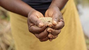 Tackling gender inequality in a climate-changed world: How agrifood and social protection systems can empower women and girls to build climate resilience