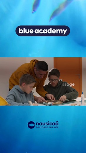 🌊Plongez dans ce nouveau terrain de jeux ludique et pédagogique pour éveiller les sens, la créativité et faire naître la passion OCEAN dès le plus jeune âge. | Lumni.fr