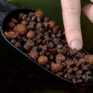 31K views · 933 reactions | Master the Margins with this Mega Mix  Brad Wegner details his go-to summer margin mix for tripping up those big, wary pressured carp! Check it out  Products used: Pacific Tuna ✅ Halibut Ultramix ✅ Hot Chorizo Compound ✅ #pacifictuna #mooremeansmore #carpfishing | CC Moore & Co Ltd | Facebook