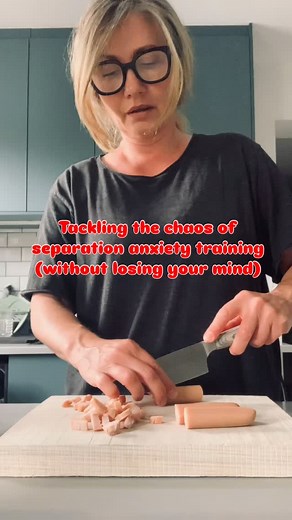 How to survive the separation anxiety training rollercoaster…. Treating separation anxiety is pretty much a full time job!! The mechanics around getting your dog bored around any front door activity, when and how to start stepping outside, for how long, how to build duration, how to meet your dog’s needs both physically and mentally. 𝗛𝗼𝘄 𝗱𝗼 𝗜 𝗲𝘃𝗲𝗻 𝗸𝗻𝗼𝘄 𝘄𝗵𝗮𝘁 𝗺𝘆 𝗱𝗼𝗴 𝗻𝗲𝗲𝗱𝘀?????? Even when it comes to setting up all the technology, which direction should the doggie cam fa