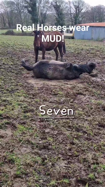 19K views · 927 reactions | REAL HORSES WEAR MUD! They don't want to be rugged eyeballs to assholes! They want to break free from a 12x12 "warm cosy clean stable" 24/7! Yet may get ridden for a leg stretch for an hour a day.... LET THEM BE HORSES! #horsehealth #naturalhorsemanship #asnatureintended #mud #realhorseswearmud | No Verbal Filter | Facebook