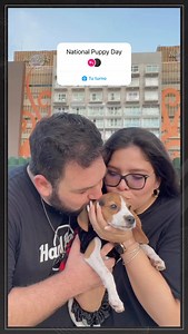 Hard Rock Hotel Cancun on Reels