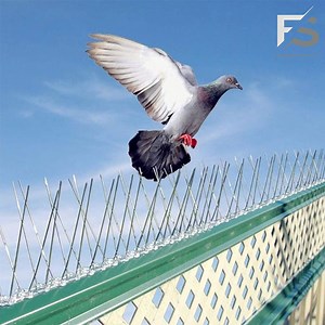 [Hot Item] Birds Deterrent Control Stainless Steel Pins and Base Anti Pigeon Bird Spikes Bird Spike, Bird Repellent Devices Outdoor for Fence Windowsill Roof
