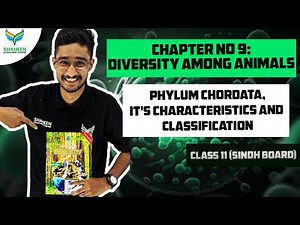 Phylum Chordata,It's Characteristics and Classification|Class 11 Biology|Chapter # 09 #education