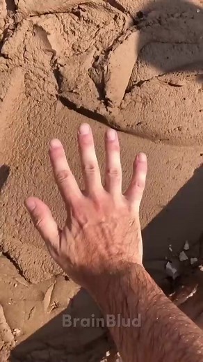 Shower Thoughts That Will Make You Think Twice 👀 | Random Facts