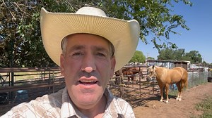 WIN THIS! A favorite Stallion on the Farm #horses #equine #stallion #winner | The Farm on Route 66