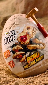 Junte-se à aventura com Robo Alive Dino Fóssil Find Surprise! Cave através de rochas, areia e slime para encontrar os fósseis e dar vida ao seu esqueleto de dinossauro! Qual dinossauro pré-histórico você encontrará? São 4 modelos diferentes pra descobrir, montar e colecionar. #candide #brinquedos #fyp | Candide Brinquedos