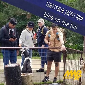 Our sailors enjoying the long weekend at Bios on the Hill. Find our full schedule and more for CFAO sailors on our website at navymwrokinawa.com | Navy MWR, Okinawa | Facebook