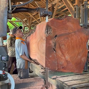 521K views · 4.2K reactions | Hard process to sawmill very huge timber | Sawmill & Woodworking | Facebook