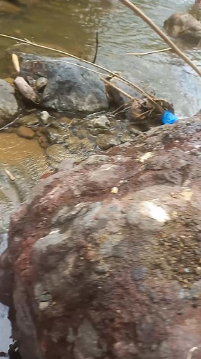 Uwaaaa #reelschallenge #happy #reelsviralシfb #viralchallenge #viralreelsシ #kids | BOSS ZILD