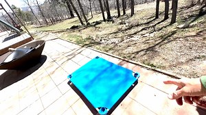 Koda working on his place command with some duration, distraction and distance (the 3 D's) to help proof his ability to "stay". This is a helpful concept to practice with any dog. | Lead Off Leash K9 Training