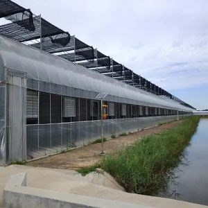 [Hot Item] Hot-DIP Galvanized Steel Sawtooth Roof Modern Agriculture Gutter Connected Film Greenhouse for Hydroponics Planting