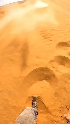 If disaster strikes, which shelter would you choose? #asmr