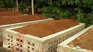 23K views · 1.8K reactions | Acharya Bal Krishna on Reels | Facebook