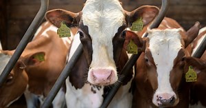 New facet of Covid crisis: Misguided people taking ivermectin anti-parasite animal drug