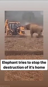 39K views · 949 reactions |  | Billy Carson | Facebook