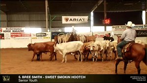 2019 National Finals Senior Youth Reserve Champion on 210.5 is Bree Smith & Sweet Smokin Hooch. Congratulations Bree. Video courtesy of NCHA Australia | Select Sires