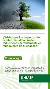 Cambio climático y agricultura 🚜🌦️🌱🌞 Como consecuencia de la emisión excesiva de gases de efecto invernadero y de la intensificación de ciertas actividades contaminantes, el cambio climático se ha agravado, afectando cada vez más a las distintas zonas del globo 🌎, siendo la agricultura 👨‍🌾 uno de los sectores más afectados por estos cambios de temperatura🌡️ 🙌 Desde BASF te invitamos a promover ♻️💧🌱 buenas prácticas agrícolas para minizar los efectos del cambio climático. Para conocer 