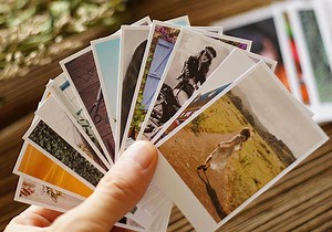 Polaroid Lab is a miniature tabletop darkroom that works with your phone
