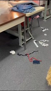 Keeping it clean and shiny 🌟 | Yunny and Tary Alterations