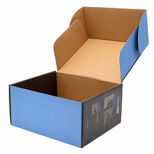 [Hot Item] China Custom Printed Corrugated Paper Mobile Software Box Manufacturer Supplier Factory