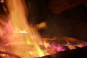 997K views · 24K reactions | Man" Woman Wild Part 15 [ हिन्दी डॉक्यूमेंट्री ] #wildlife #nature #fishing #discovery #discoverychannel #jungle Survivals World Wilds Earth Tv | Beyond The Wild | Facebook